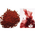 Astaxanthin / Haematococcus Pluvialis Pulver